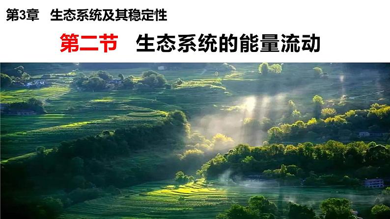 高中生物 生态系统的能量流动  课件第1页