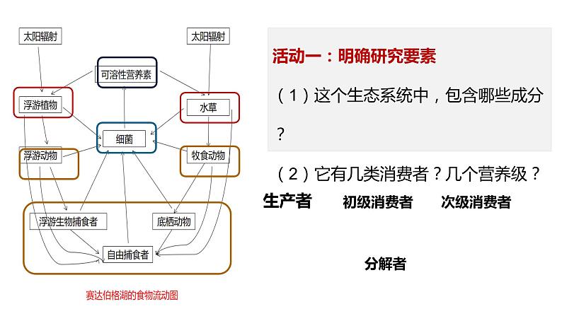 高中生物 生态系统的能量流动  课件第4页