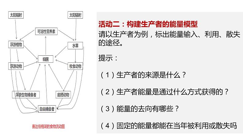 高中生物 生态系统的能量流动  课件第5页