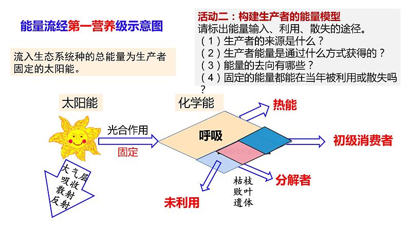 高中生物 生态系统的能量流动  课件第6页