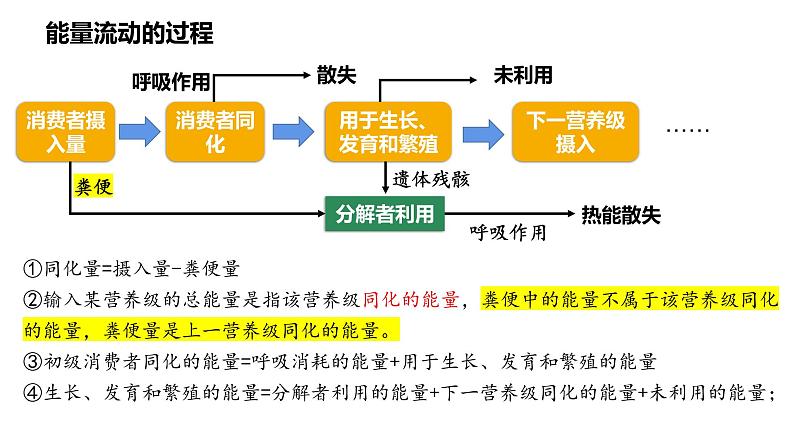 高中生物 生态系统的能量流动  课件第8页