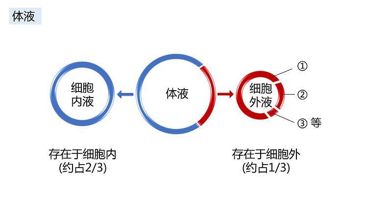 高中生物 细胞生活的环境 课件第3页