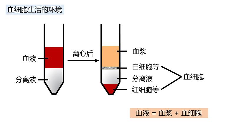 高中生物 细胞生活的环境 课件第4页