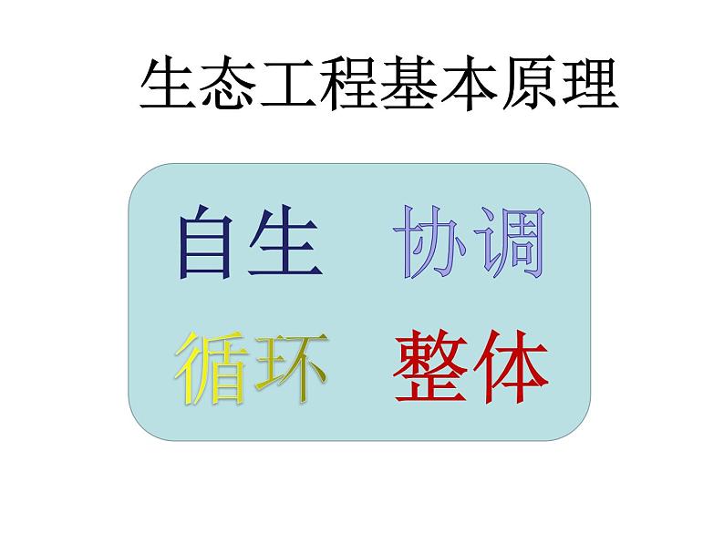 高中生物 选择性必修二 生态工程  课件04