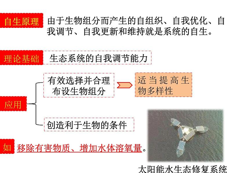 高中生物 选择性必修二 生态工程  课件05