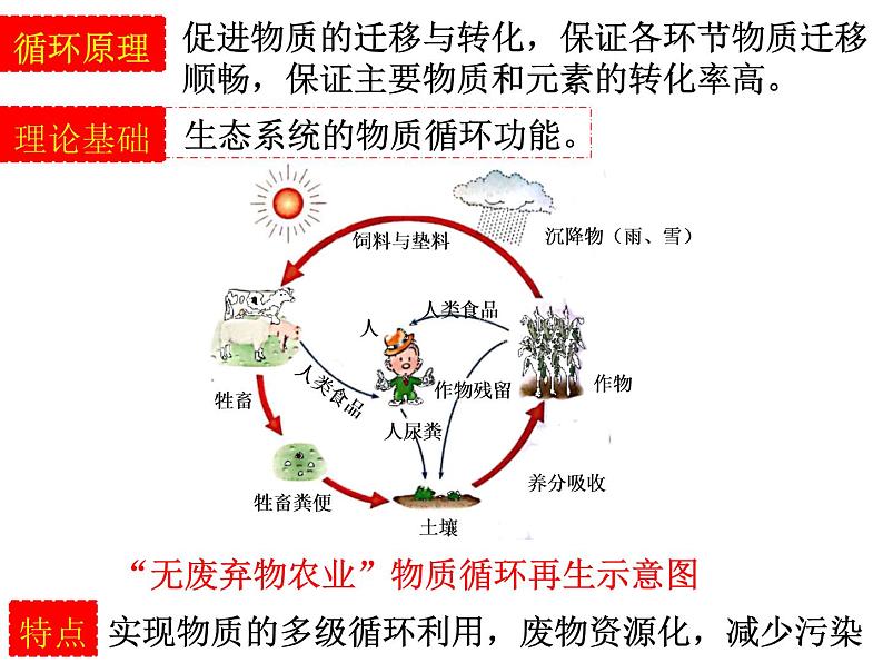 高中生物 选择性必修二 生态工程  课件06