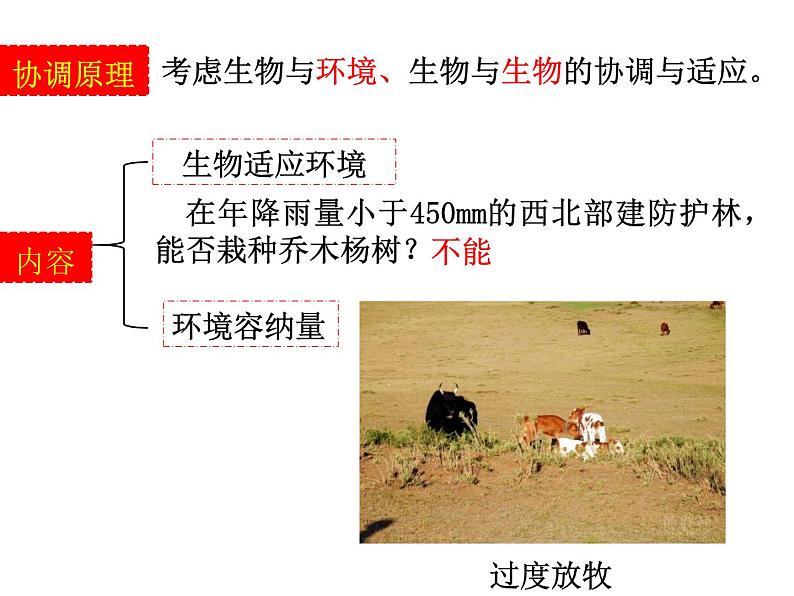 高中生物 选择性必修二 生态工程  课件07