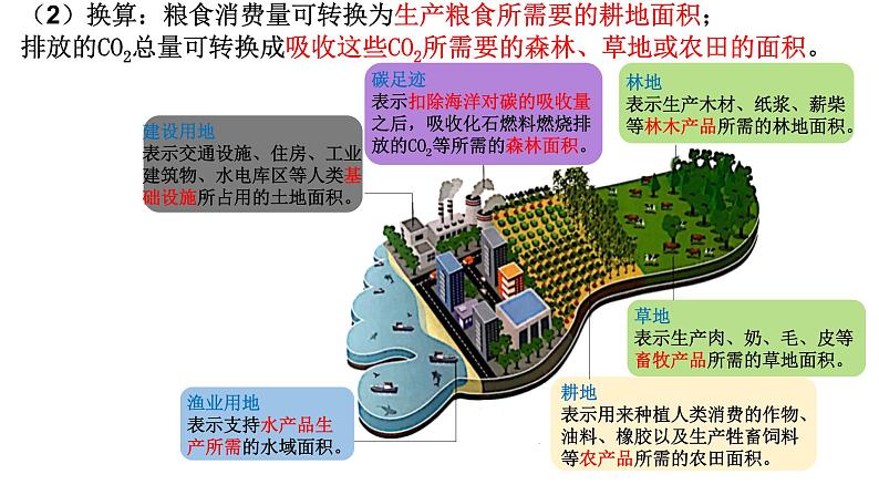 高中生物 选择性必修二 人类活动对生态环境的影响 课件04