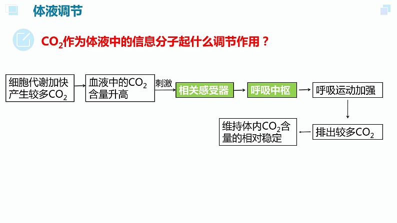 高中生物 体液调节与神经调节的关系（第二课时） 课件第5页