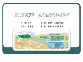 高中生物 选择性必修二 生态系统的物质循环 课件