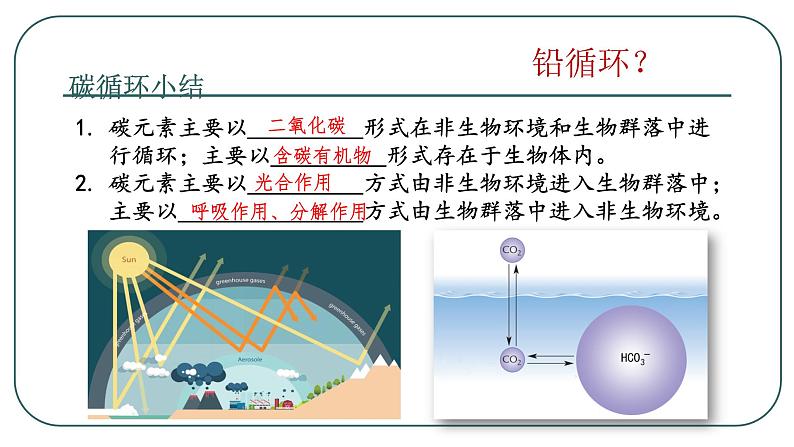 高中生物 选择性必修二 生态系统的物质循环 课件第6页