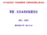 高中生物 生态系统的能量流动 课件