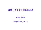 高中生物 生态系统的能量流动 课件