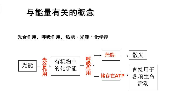 高中生物 生态系统的能量流动 课件04