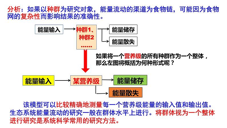 高中生物 生态系统的能量流动 课件07