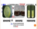 高中生物 微生物的基本培养技术 课件