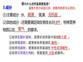 高中生物 微生物的基本培养技术 课件