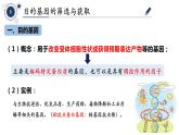 高中生物 选择性必修三 基因工程的基本操作程序 课件