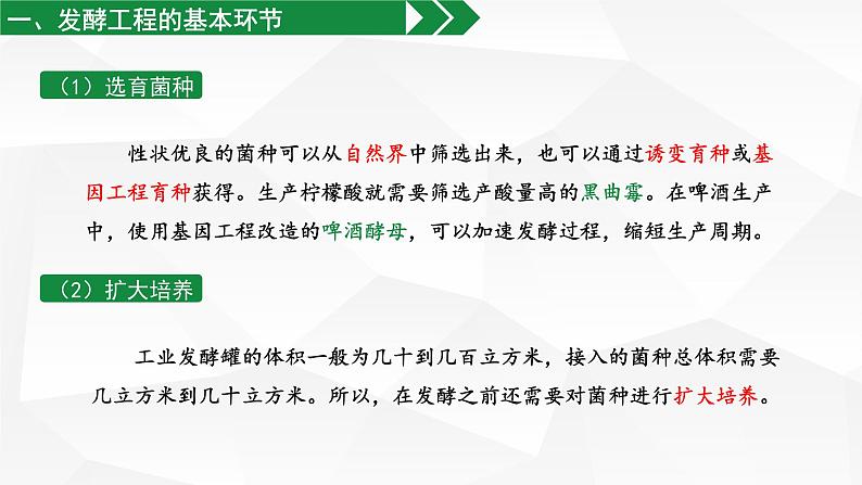 高中生物 选择性必修三 发酵工程及其应用 课件第4页