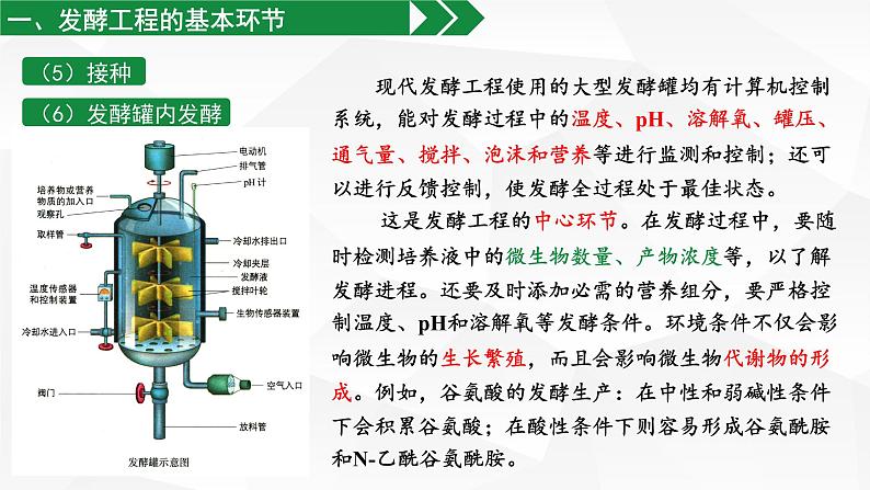 高中生物 选择性必修三 发酵工程及其应用 课件第6页