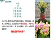 高中生物 植物细胞工程的基本技术  课件