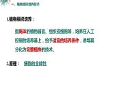 高中生物 植物细胞工程的基本技术  课件