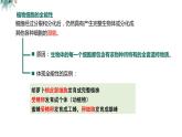高中生物 植物细胞工程的基本技术  课件