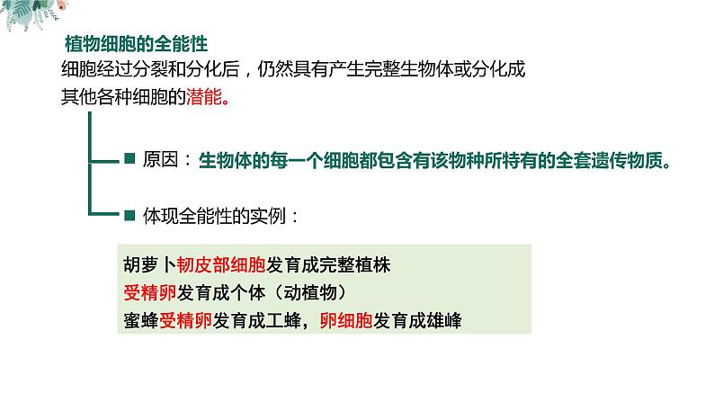 高中生物 植物细胞工程的基本技术  课件第4页