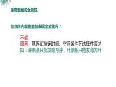 高中生物 植物细胞工程的基本技术  课件