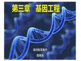高中生物 重组DNA技术的基本工具 课件