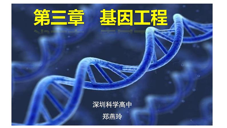 高中生物 重组DNA技术的基本工具 课件01