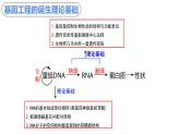 高中生物 重组DNA技术的基本工具 课件