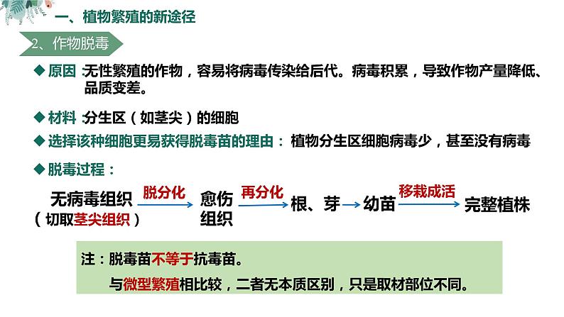 高中生物 植物细胞工程的应用（ppt）课件第7页