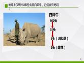 高中生物 种群的数量特征（第1课时）PPT 课件