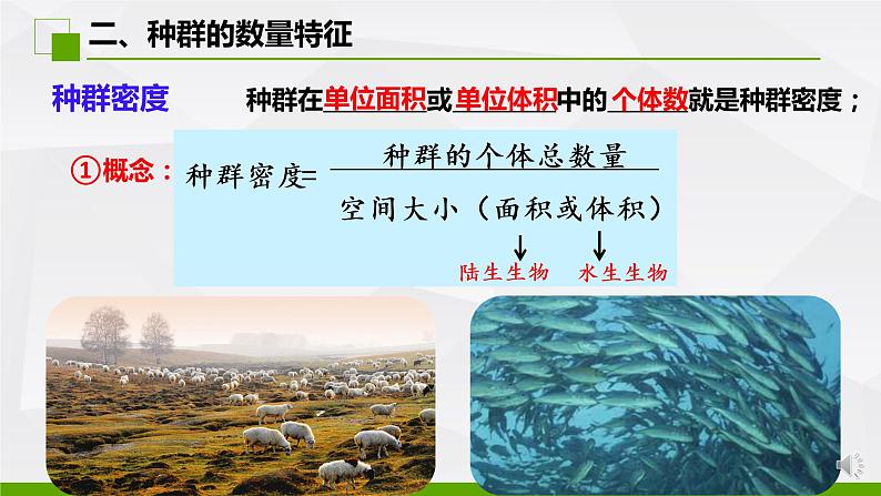 高中生物 种群的数量特征（第1课时）PPT 课件06