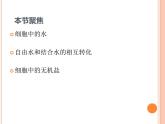 【2019人教版】必修1第2章第2节 细胞中的无机物 课件PPT