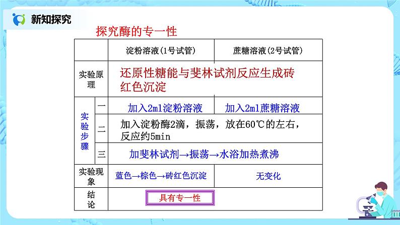 5.1.2《酶的特性》教案+课件+练习08