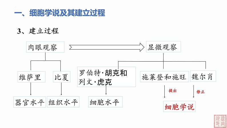 1.1 细胞是生命活动的基本单位-课件（人教版2019必修1）07