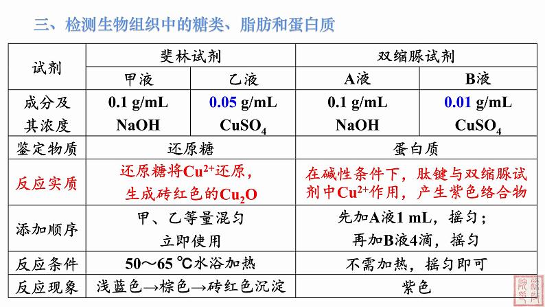 2.1 细胞中的元素和化合物（第2课时）课件（人教版2019必修1）07