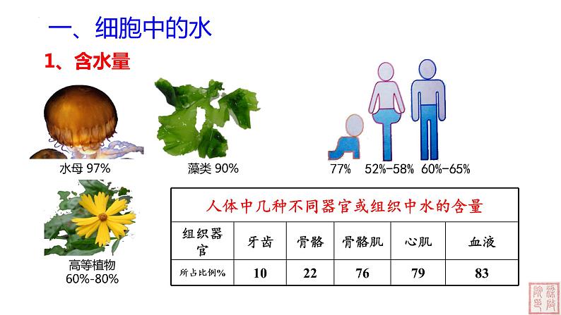 2.2 细胞中的无机物-课件（人教版2019必修1）04