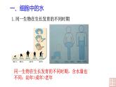 2.2 细胞中的无机物-课件（人教版2019必修1）