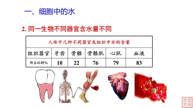 2.2 细胞中的无机物-课件（人教版2019必修1）06