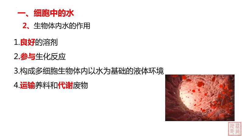 2.2 细胞中的无机物-课件（人教版2019必修1）08