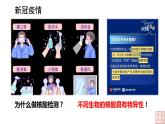 2.5 核酸是遗传信息的携带者-课件（人教版2019必修1）