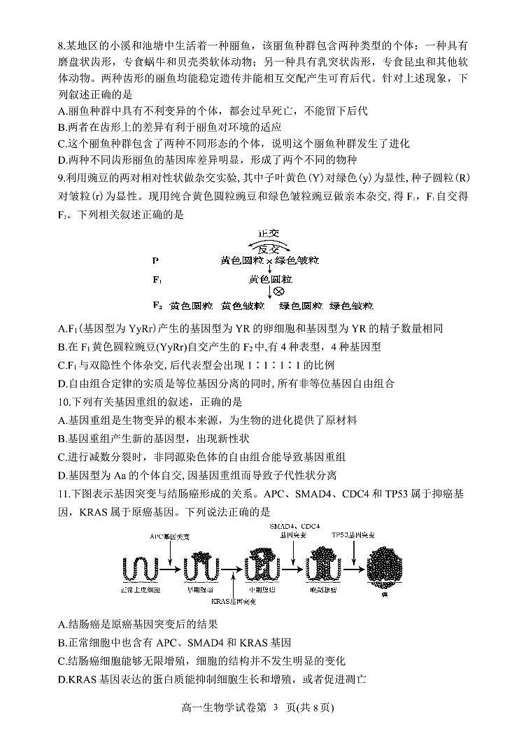 2021-2022学年辽宁省丹东市高一下学期期末教学质量监测生物试卷（PDF版）03