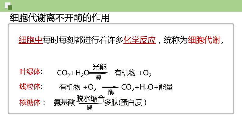 高中生物 酶的作用和本质  课件03