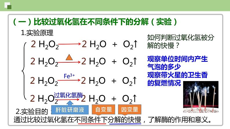 高中生物 酶的作用和本质  课件05