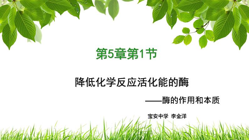 高中生物 降低化学反应活化能的酶——酶的作用和本质 ppt 课件第1页