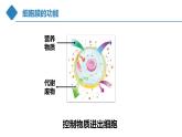 高中生物 细胞膜的结构和功能 课件