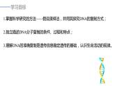 高中生物 DNA的复制 课件